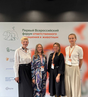 Биометрию собак, пэт-френдли инфраструктуру, мохнатую школу и корпоративные мастер-классы инициирует внедрить в Барнауле приют «Ласка»