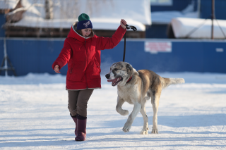 МОЛОДОЙ САО