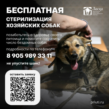 Жители Барнаула могут бесплатно стерилизовать и чипировать своих собак!