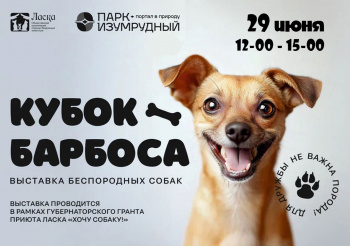 БеспоДоБных собак покажут на ринге в парке Изумрудный!