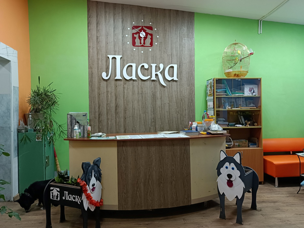 laska.jpg