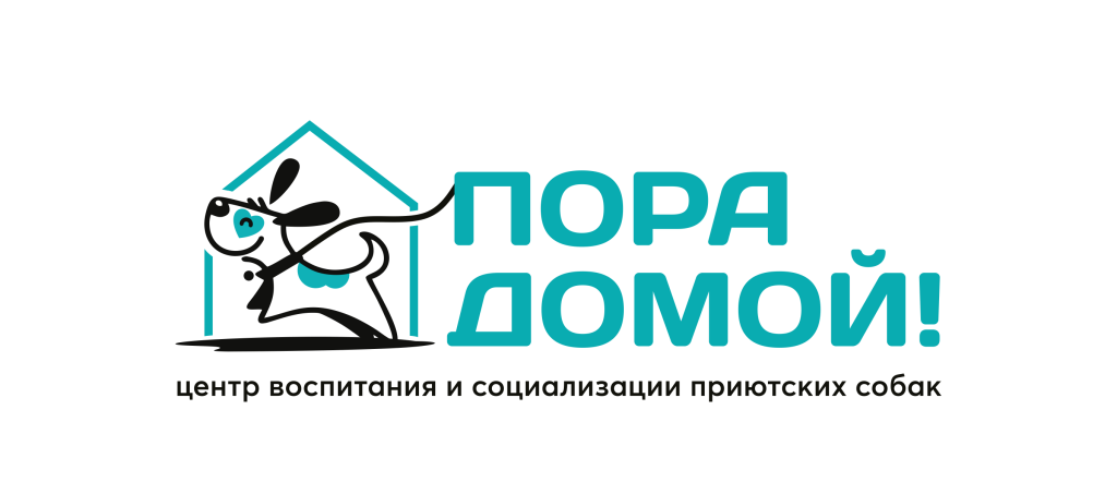 Лого_Пора домой_горизонт.png